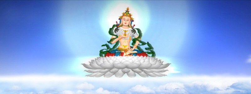 分类： <span>佛教资讯</span>