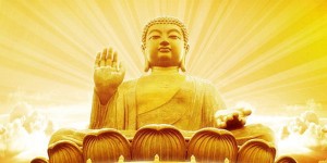 寻求佛法的修行人，得遇佛陀正法只会欢喜，怎会恶意诽谤！