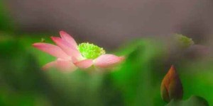 没时间荒废了，想想、再想想，如果今生不成就……