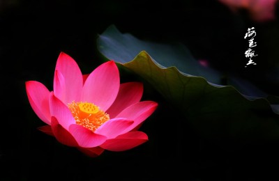 善良即风水，慈悲即宝地